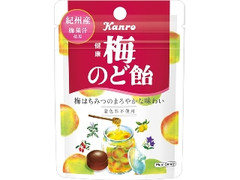 健康梅のど飴 袋26g