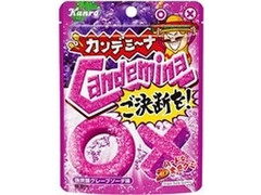 カンロ カンデミーナグミ ご決断を！ 商品写真