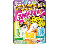 カンロ カンデミーニャグミ 袋60g