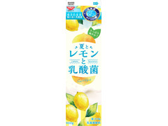 日清ヨーク 夏とレモンと乳酸菌 商品写真