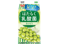 ディリー　ヨーグルッペ　 プレ―ン　 フル―ツミックス カフェオ―レ 白ぶどう ディリー ヨーグルッペ プレ―ン フル―ツミックス カフェオ―レ 白