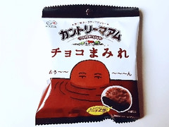 カントリーマアム チョコまみれ 袋48g