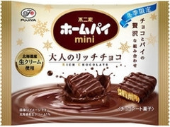 不二家 ホームパイミニ 大人のリッチチョコ 冬仕立て 袋40g