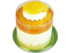 不二家 熊本県産甘夏のレアチーズケーキ 商品写真