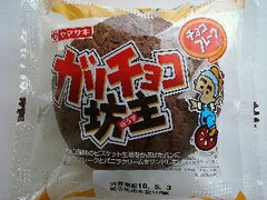 ガリチョコ坊主 袋1個