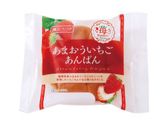 キラキラ⭐️さま専用　いちご＆あんぱん 苺きらら 15個 風美庵 - 九州福岡のお土産通販なら 九州発