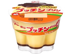 Bigプッチンプリン カップ160g