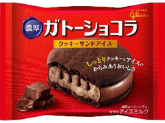 グリコ 濃厚ガトーショコラ 袋1個