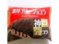 江崎グリコ 濃厚ガトーショコラ クッキーサンドアイス 商品写真