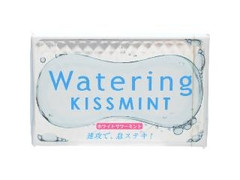 江崎グリコ ウォータリングキスミント ホワイトサワーミント 商品写真