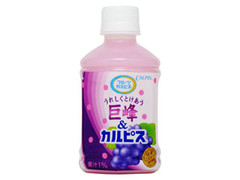  ペット280ml