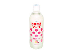  ペット500ml