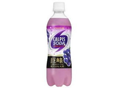 カルピス カルピスソーダ 巨峰 ペット500ml