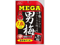 ノーベル MEGA男梅粒 商品写真