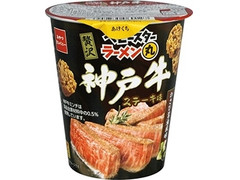 おやつカンパニー ベビースター ラーメン丸 神戸牛ステーキ味 商品写真