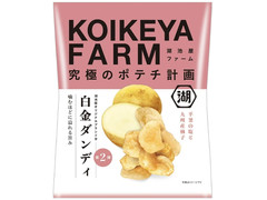 湖池屋 KOIKEYA FARM 白金ダンディ 平釜の塩と九州産柚子 商品写真
