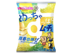 湖池屋 めっちゃすっぱムーチョ 青春の叫び