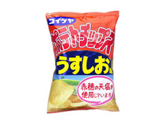 ポテトチップス うすしお味 袋100g