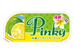 フレンテ Pinky 沖縄シークヮーサーミント 商品写真