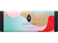 明治 ザ・チョコレート SENSATION 2019 Limited Assortment 商品写真