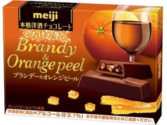 明治 本格洋酒チョコレート とろける冬のブランデー＆オレンジピール 商品写真