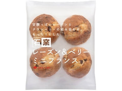 タカキベーカリー 石窯 レーズン＆ベリーミニフランス 商品写真