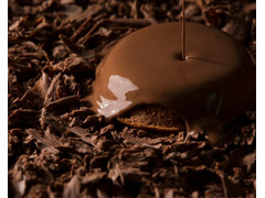 タカキベーカリー チョコレーヌ