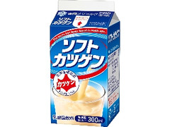 ソフトカツゲン パック300ml