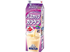 雪印メグミルク ハスカップカツゲン パック1000ml