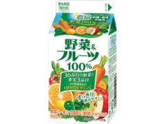 雪印メグミルク 農協 野菜Days 野菜＆フルーツ 100％ パック500ml