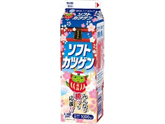 雪印メグミルク ソフトカツゲン 受験生応援パッケージ パック1000ml