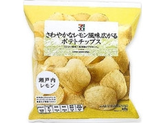 ポテトチップス 瀬戸内レモン 袋60g