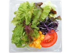 フレッシュ野菜サラダ