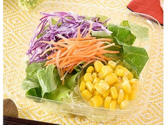 フレッシュ野菜サラダ