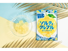 ファミリーマート ソルティグレフルグミ