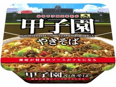 阪神甲子園球場監修 甲子園やきそば カップ128g