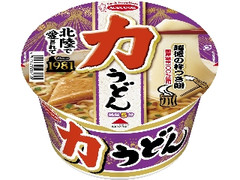 エースコック 力うどん カップ99g