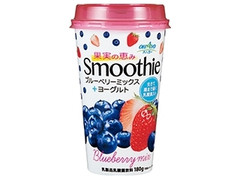 オハヨー 果実の恵み Smoothie ブルーベリーミックス 商品写真