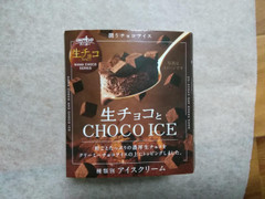 オハヨー 生チョコとCHOCO ICE 商品写真