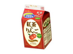  パック500ml