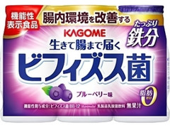 生きて腸まで届くビフィズス菌 たっぷり鉄分 ボトル100ml×3