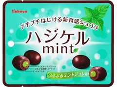 カバヤ ハジケルmint 商品写真