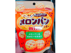 カバヤ クッキー 小さなチョコチップメロンパンminiクッキー