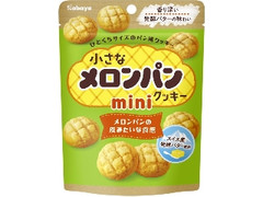 カバヤ 小さなメロンパンクッキー ミニ 袋41g