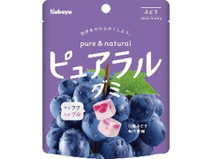 カバヤ ピュアラルグミ ぶどう 袋58g