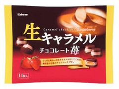 カバヤ 生キャラメル チョコレート苺 商品写真