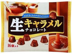 カバヤ 生キャラメルチョコレート 袋16個