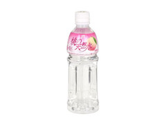  ペット500ml