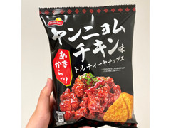 フリトレー ヤンニョムチキン味トルティーヤチップス 商品写真