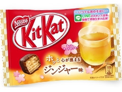 ネスレ キットカット Bigリトル ホッと心が温まるジンジャー味 商品写真